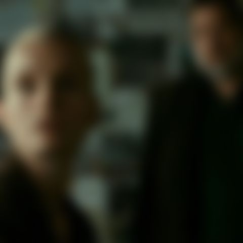 Image for The Asset