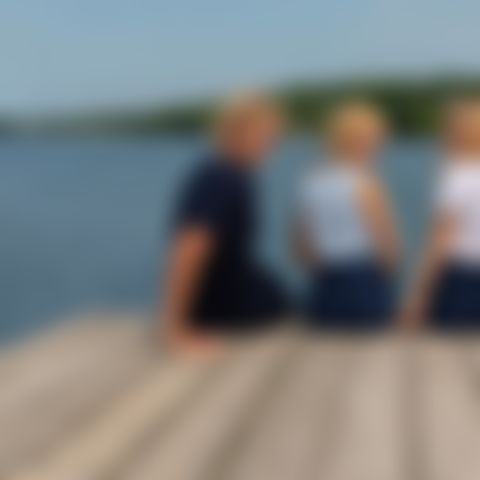 Image for We Were Liars