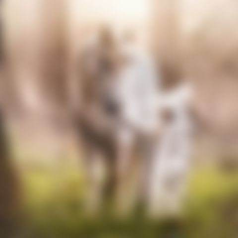 Image for Das Geheimnis des Einhorns