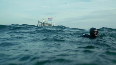 Bild zu Die Wilde Nordsee: Natur, die sich nicht zähmen lässt