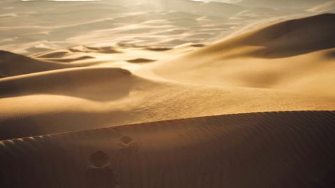 Bild zu Dune 3