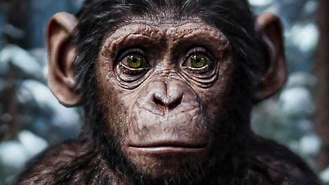 Image of KINGDOM OF THE PLANET OF THE APES (2024) - Movie Preview