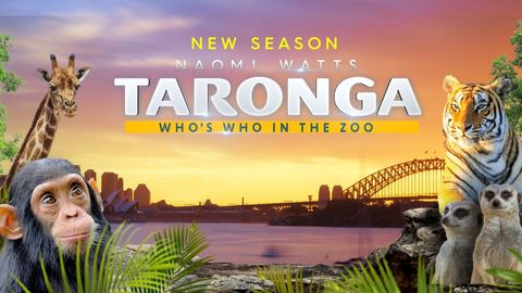 Bild zu Taronga Zoo Hautnah