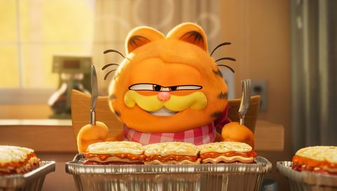 Image of The Garfield Movie