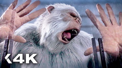 Image of The Best Funny Scenes From The Goosebump Movies | Jack Black