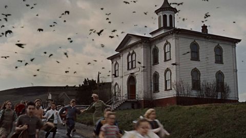 Image of The Birds