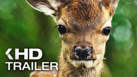 Bild zu BAMBI: Eine Lebensgeschichte aus dem Walde Trailer