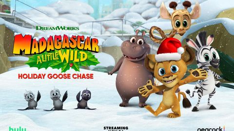 Image of Madagascar: A Little Wild Holiday Goose Chase