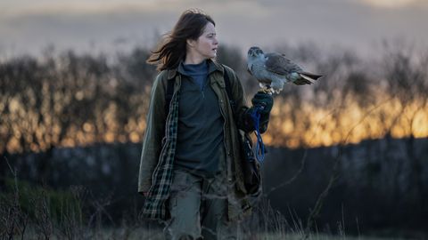 Image of H Is for Hawk