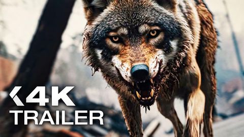 Image of Coyotes <span>Trailer</span>