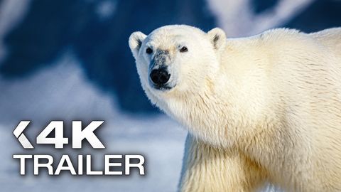 Image of The Wild Ones <span>Trailer</span>