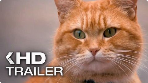 Image of A Street Cat Named Bob <span>Trailer 2</span>