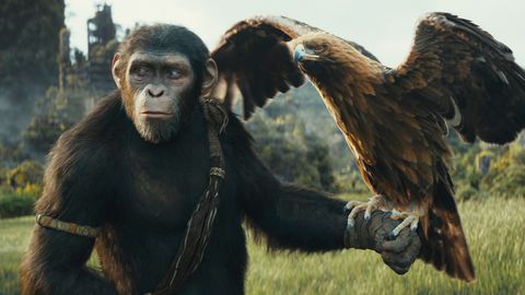 Image of Kingdom of the Planet of the Apes