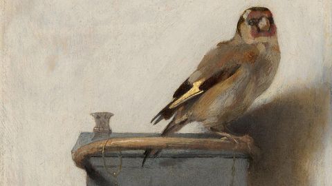 Image of The Goldfinch