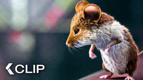 Bild zu Das Chaos beginnt! - Clip