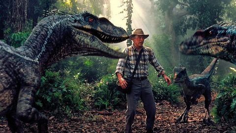 Bild zu Jurassic Park 3