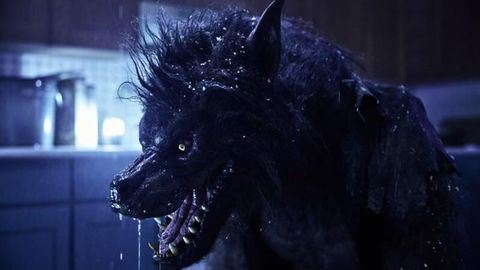 Image of Werewolves