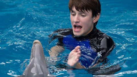 Image of Dolphin Tale 2