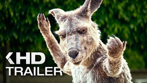 Bild zu Die Känguru-Verschwörung <span>Trailer 2</span>