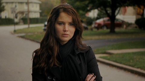 Image of Silver Linings Playbook
