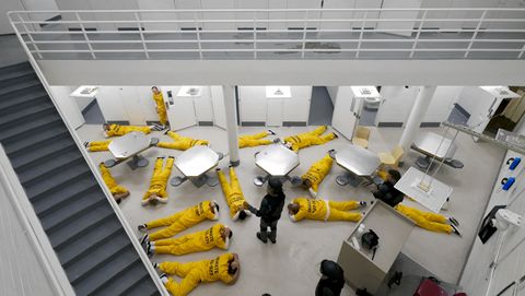 Bild zu Das neue Stanford-Prison-Experiment