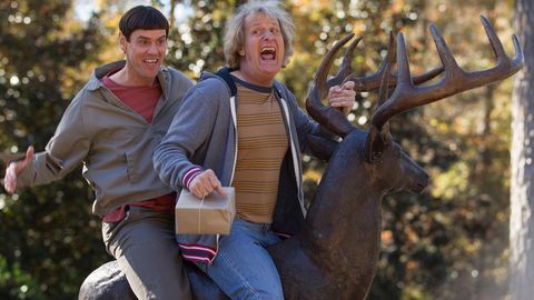 Image of Dumb and Dumber To
