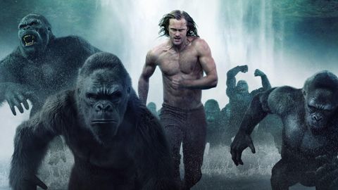 Bild zu Legend of Tarzan