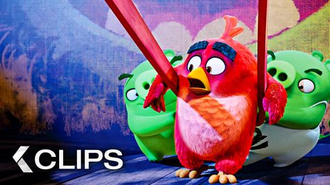 Bild zu Angry Birds <span>Compilation</span>