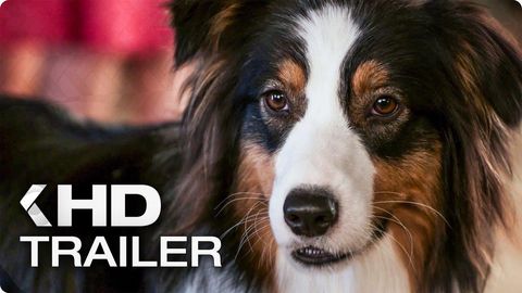 Bild zu Show Dogs <span>Trailer</span>