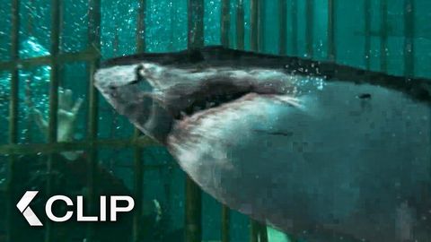 Image of Into the Deep <span>Clip & Trailer</span>