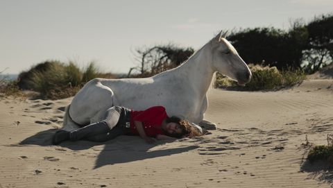 Image of Animale