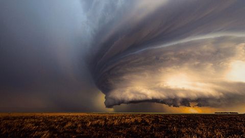 Bild zu Wild Sky