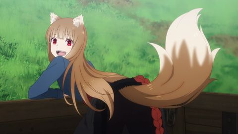 Image of Spice and Wolf: Merchant Meets the Wise Wolf