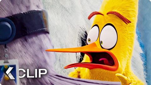 Image of The Angry Birds Movie 2 <span>Clip & Trailer</span>