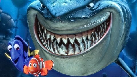 Bild zu Findet Nemo <span>Video</span>