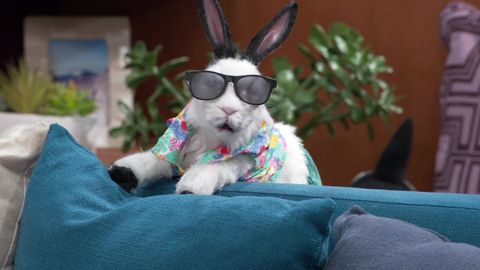 Image of The Thundermans: Undercover