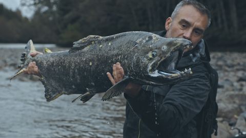 Bild zu Die letzten Giganten: Riesenfische