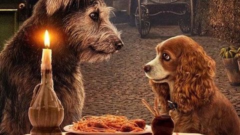 Image of Lady and the Tramp