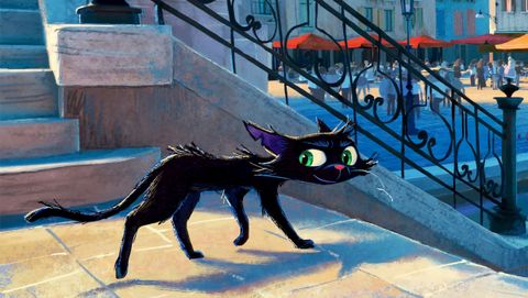 Image of Gatto