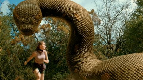 Bild zu Anacondas der Fluch des Schlangengottes