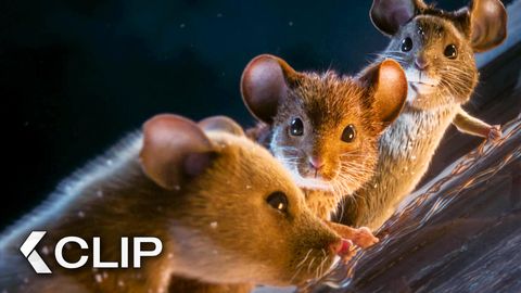 Bild zu Lea ist in Gefahr! - Clip