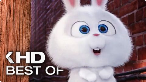 Image of The Secret Life of Pets <span>Special</span>