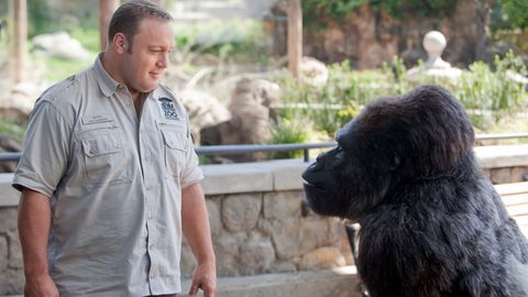 Image of Zookeeper