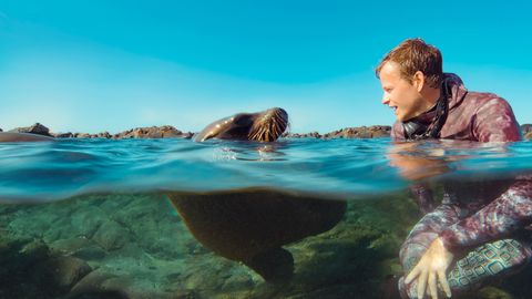 Image of Animals Up Close with Bertie Gregory