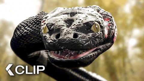 Image of Broken Leg, No Escape - ANACONDA 3: Offspring Clip | David Hasselhoff