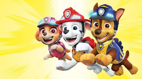 Image of PAW Patrol: Ready, Race, Rescue!