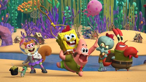 Bild zu Kamp Koral: SpongeBob's Under Years