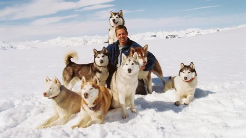 Image of Eight Below