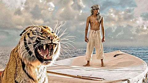 Bild zu Life of Pi - Schiffbruch mit Tiger <span>Video</span>