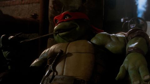 Bild zu Turtles